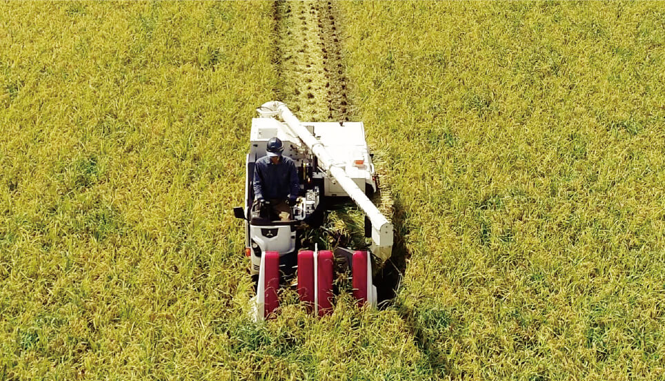 完全全面刈り(V435A)