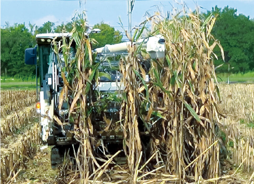 2条分刈取り（標準仕様）