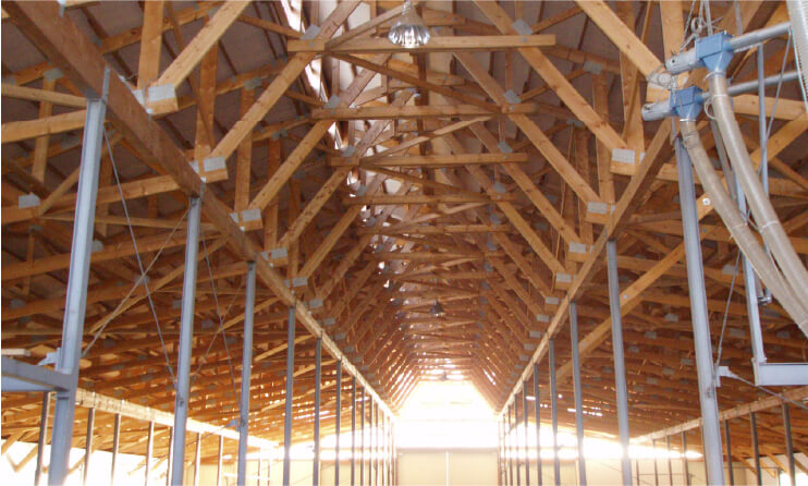 木造飼育牛舎施設