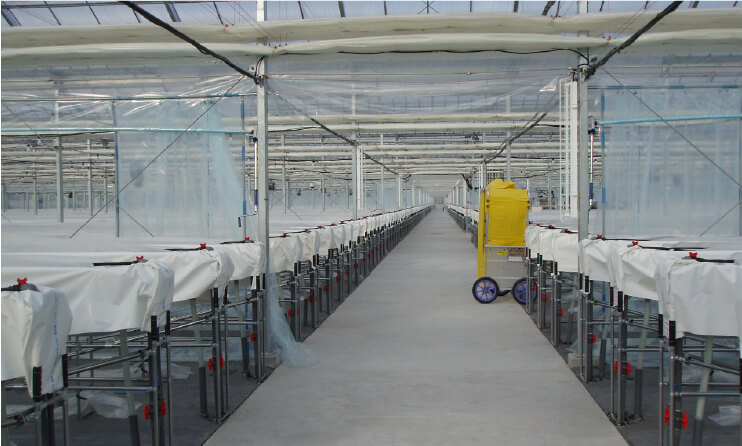 園芸施設（植物工場）