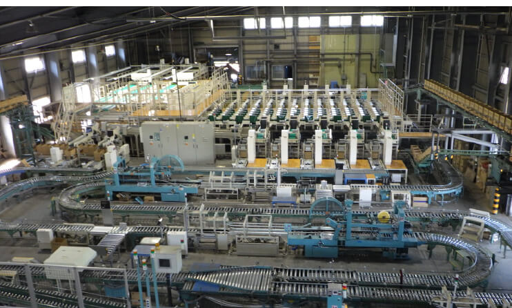 人参洗浄選別施設